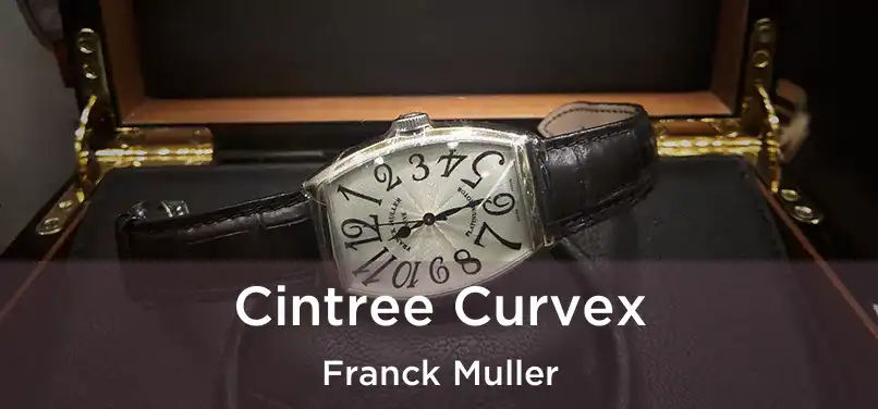  Cintree Curvex Franck Muller